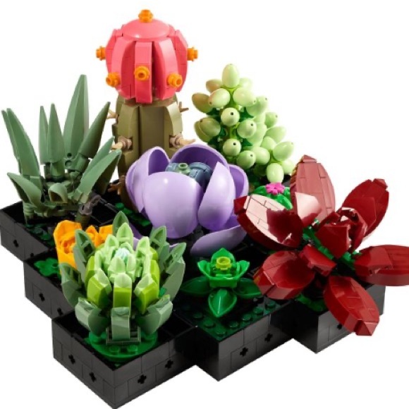 Lego Succulent Botanicals Collection - Picture 4 of 7